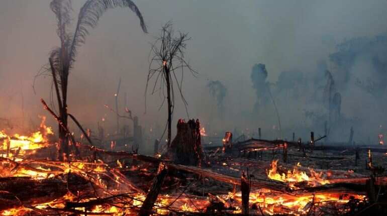 Brazil cuts environment budget a day after US climate summit