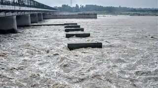 Delhi: Yamuna river sparkles again as factory waste reduces amid lockdown