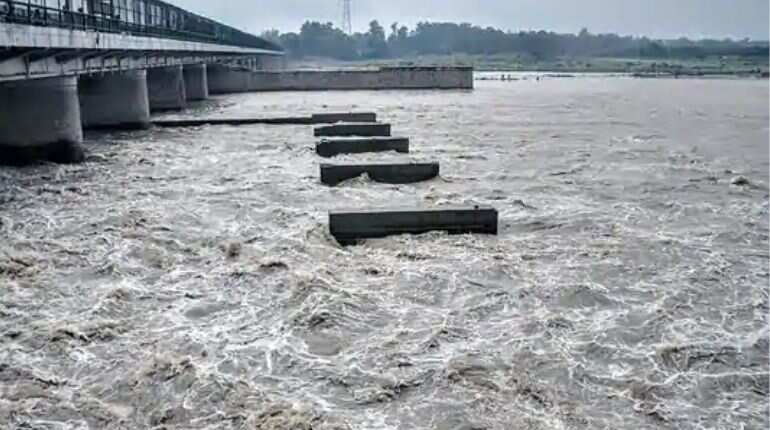 Delhi: Yamuna river sparkles again as factory waste reduces amid lockdown
