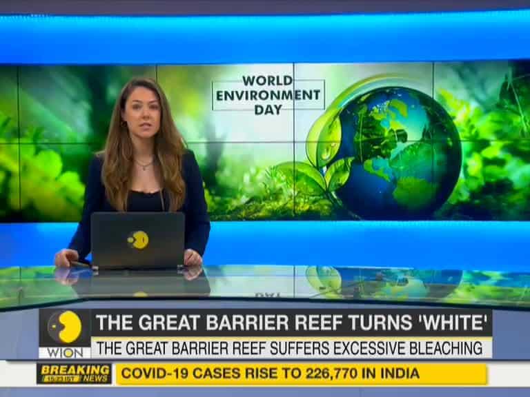 World Environment Day: The great barrier reef turns 'white'