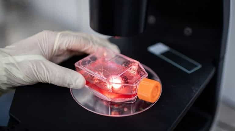 China's candidate coronavirus vaccine 'BBIBP-CorV' displays promising results in animals, human trials underway