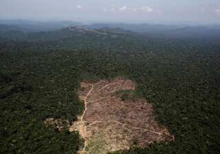 Brazil deforested 10,000 square km of Amazon rainforest in 2019, up 34% on year