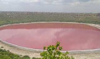 Maharashtra's 50,000-year-old Lonar lake mysteriously turns pink, scientists probe cause