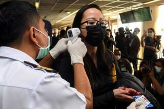 Researchers in Thailand begin testing horseshoe bats for coronavirus