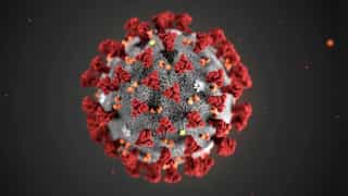 Northern Ireland confirms positive case of new coronavirus variant