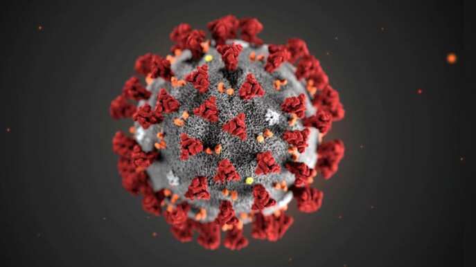 Northern Ireland confirms positive case of new coronavirus variant