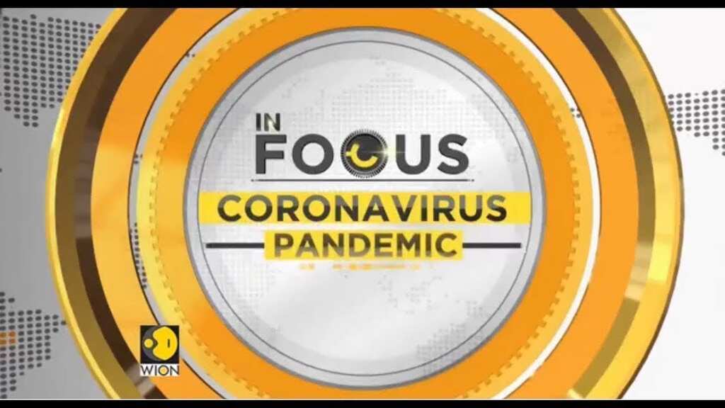 WION In Focus: Some stories related to Coronavirus pandemic | COVID-19 | Coronavirus News