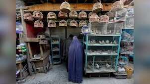 Gravitas: Kabul's Ka Farushi bird market: A ground report