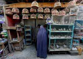 Gravitas: Kabul's Ka Farushi bird market: A ground report