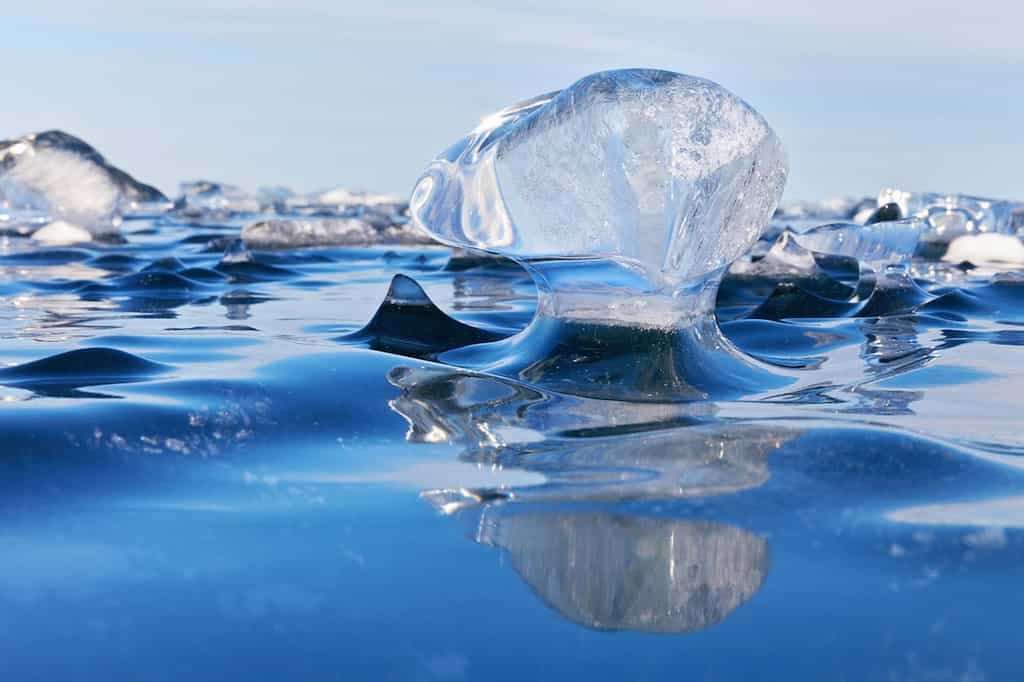 Sponge disease threatens waters of Russia's lake Baikal