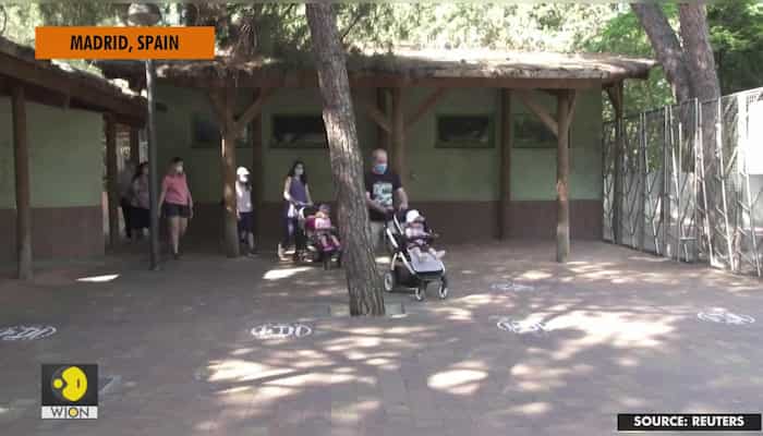 Madrid's zoo re-opens after three-month lockdown ends