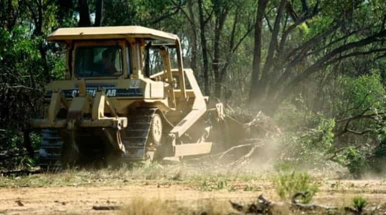 Australia: Million hectares of endangered species' habitat cleared without federal approval Australia: Million hectares of endangered species' habitat cleared without federal approval