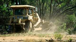 Australia: Million hectares of endangered species' habitat cleared without federal approval