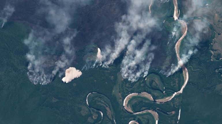 Wildfires across forests