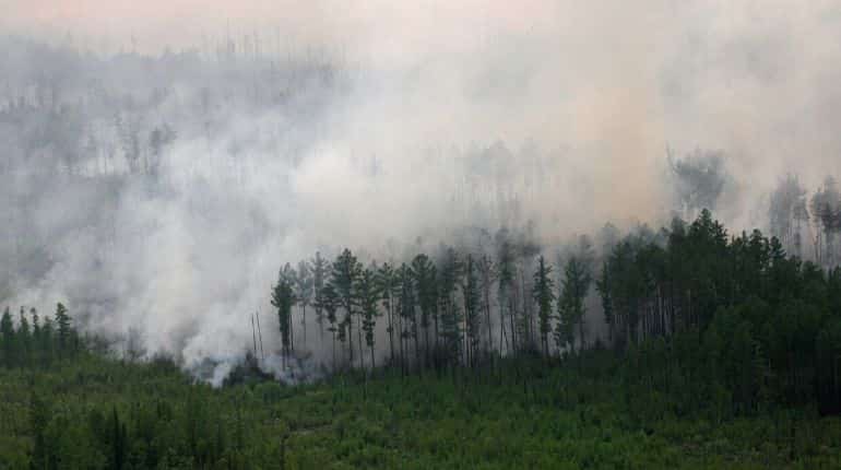 Stripping away vegetation