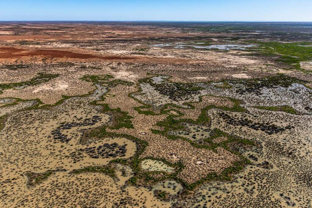 Australian outback station turned into national park to protect threatened species Australian outback station turned into national park to protect threatened species