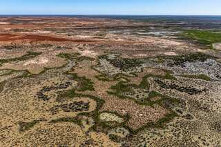 Australian outback station turned into national park to protect threatened species