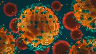 New study reveals how COVID-19 depletes our immunity