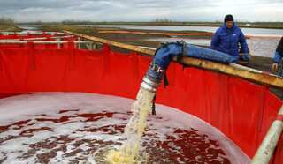 Russian mining giant admits waste 'violations' at Arctic plant