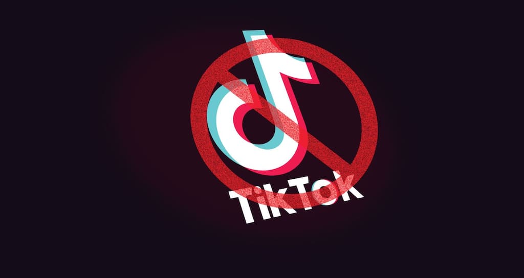 Govt of India bans 59 Chinese apps including TikTok, Shareit, Xender