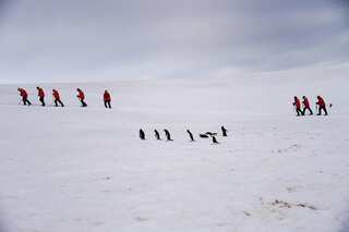 South Pole warming faster than rest of Earth: Study
