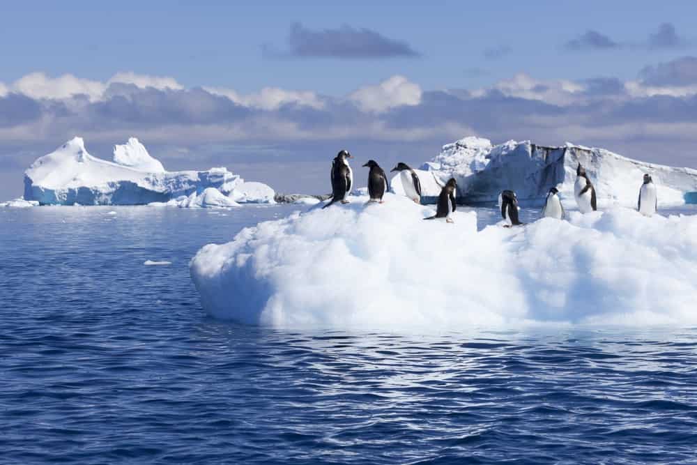 South Pole warmed 7 times than rest of Antarctica