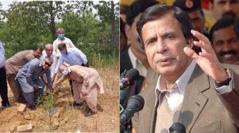 Making 'Hindu temple' in Islamabad is against the spirit of Islam: Pakistani politician Making 'Hindu temple' in Islamabad is against the spirit of Islam: Pakistani politician