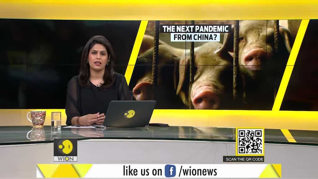 Gravitas: China | A new virus raises fears of another pandemic