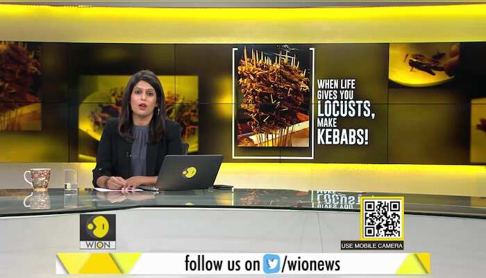 Gravitas: Serving Locusts as Kebabs