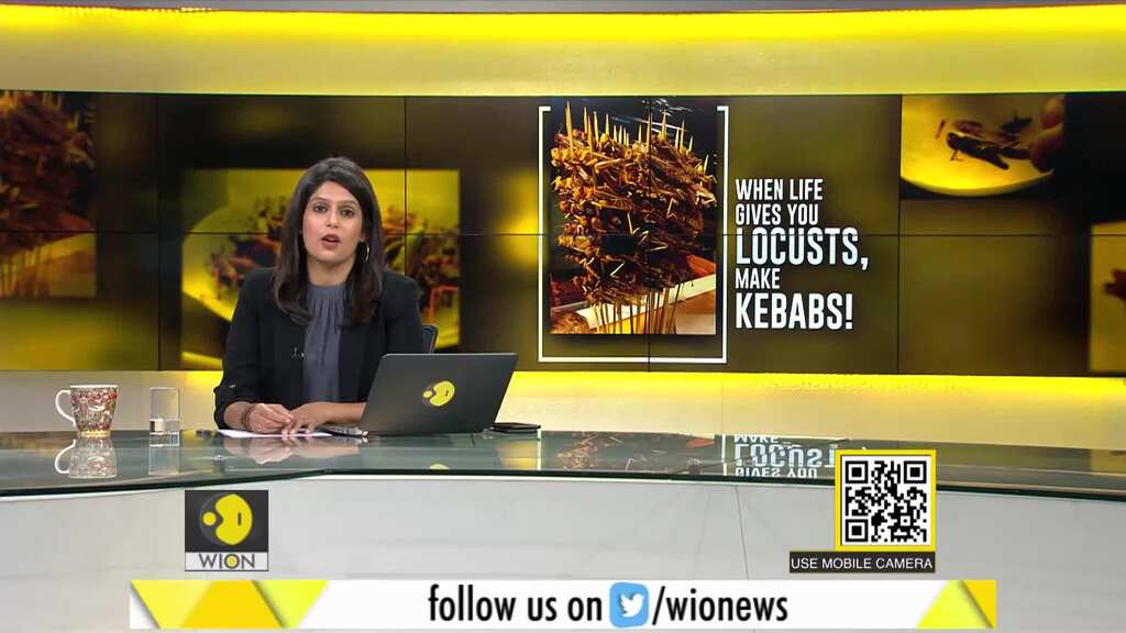 Gravitas: Serving Locusts as Kebabs