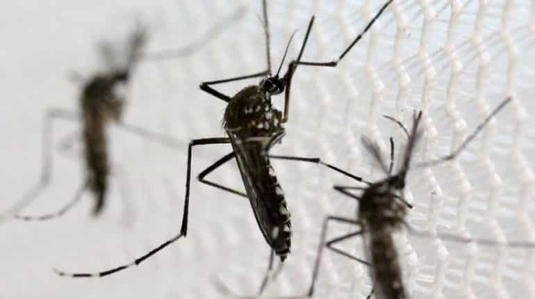Singapore faces the worst dengue outbreak in its history; records more than 1,400 cases in a week