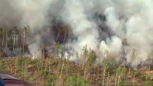 Your Story: Siberia battles wildfires and heatwaves, Satellite images show clouds of smoke