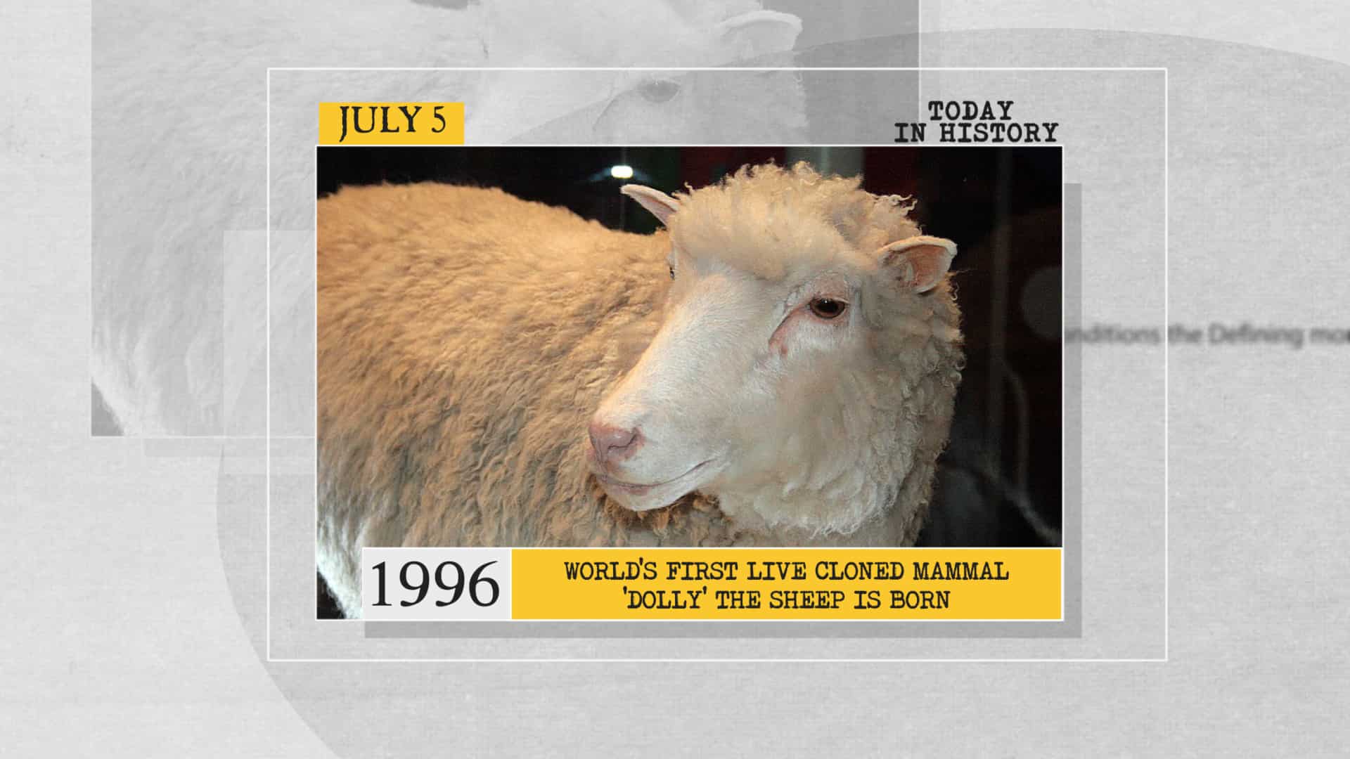 1996