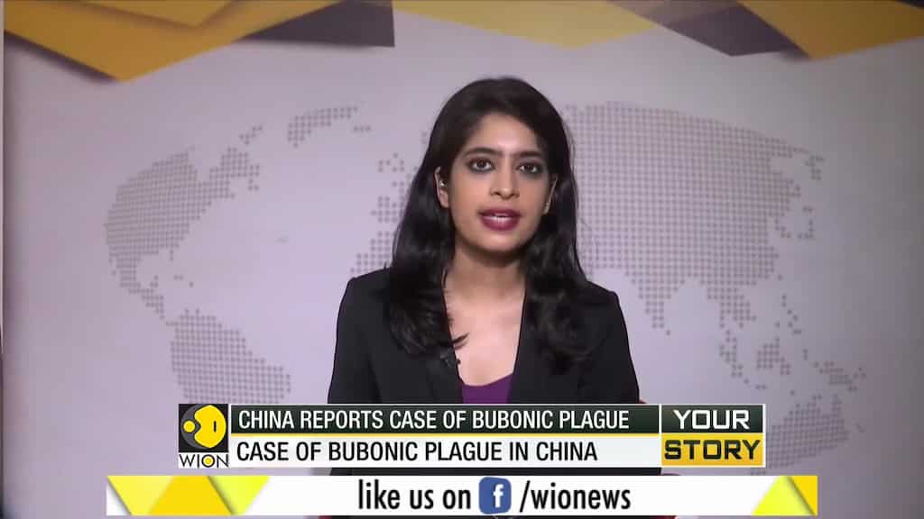 Your Story: China reports case of Bubonic plague, Farmers falls victim