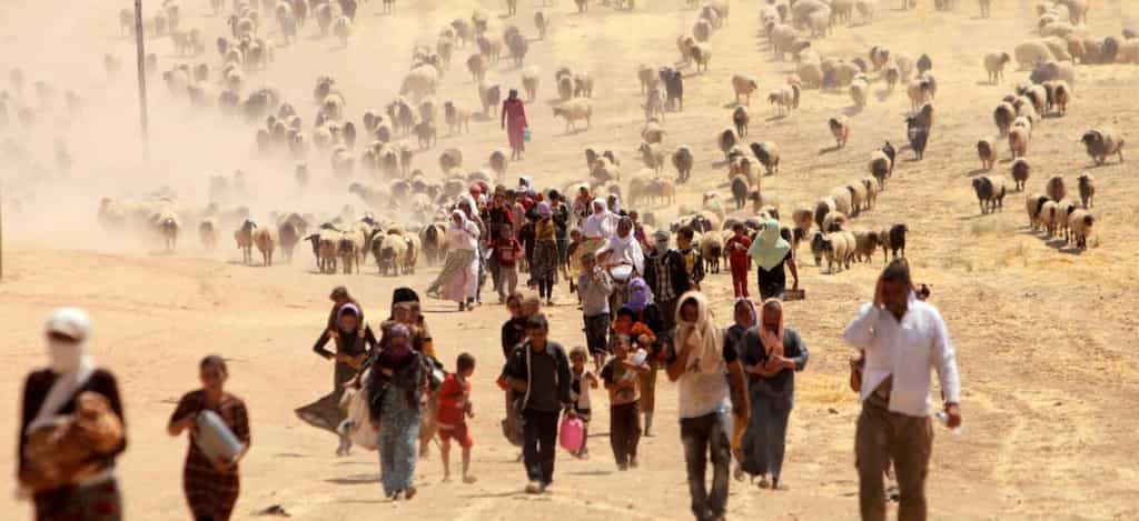 Hundreds of Yazidi families head back to Sinjar