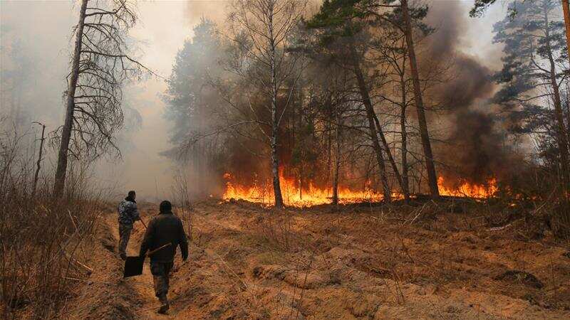 5 killed, 120 homes damaged by forest fires in Eastern Ukraine
