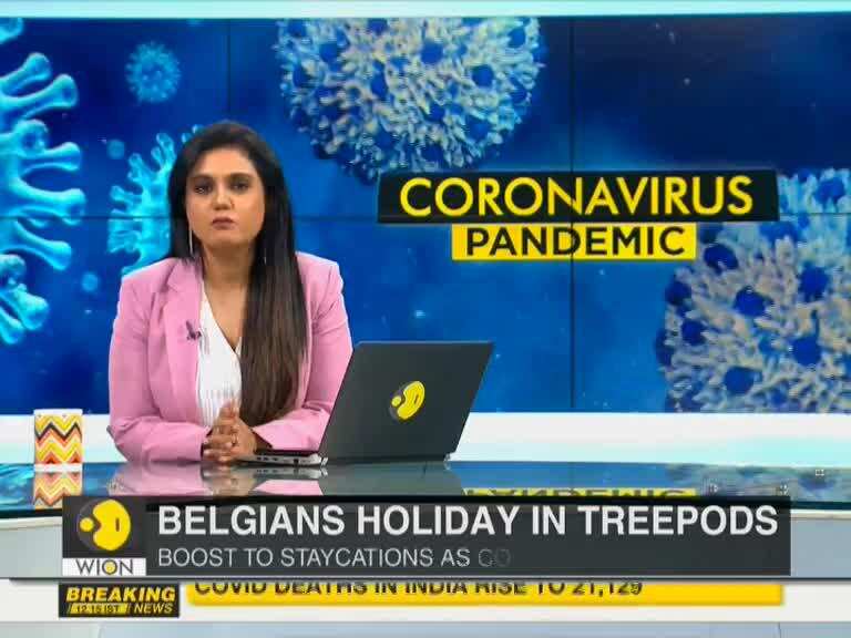Belgians holiday in trees as COVID-19 prompts staycations