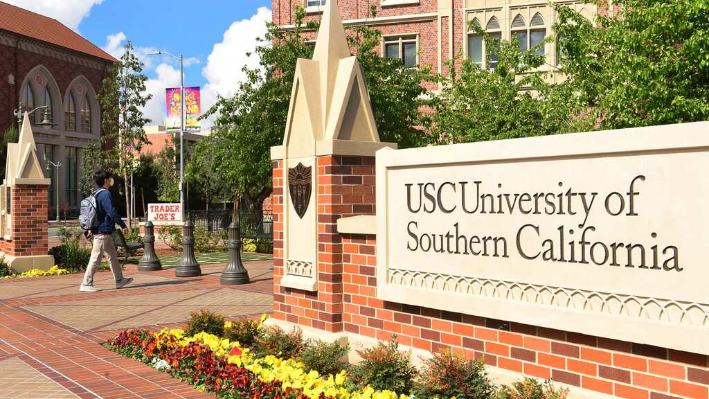 On the pros and cons of education in a Western University