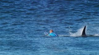 Teen surfer killed by shark, second in Australia in a week