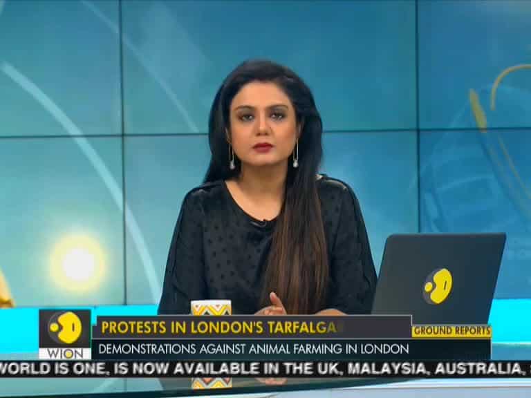 Protests for animal rights in London's Tarfalgar Square, red dye poured in fountains