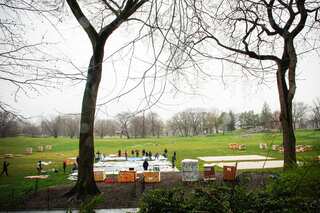 US town grows money from trees during pandemic downturn
