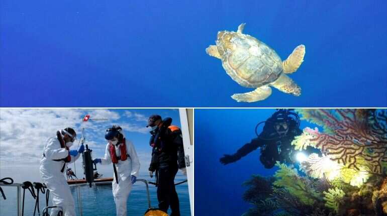 Experts believe heatwave killed 1 billion marine animals on Canada coast Experts believe heatwave killed 1 billion marine animals on Canada coast