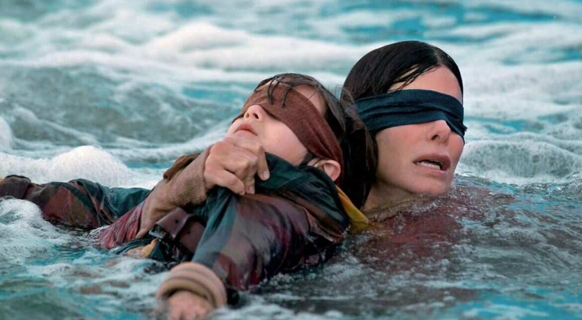 Bird Box