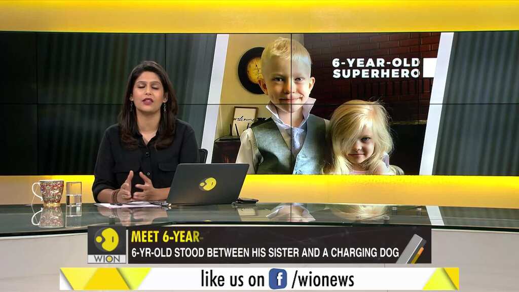 Gravitas: Meet the 'first avenger': 6-year-old puts his life in danger to save his sister