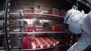 Elite club: Russia secretly tested its coronavirus vaccine among the affluent as early as April