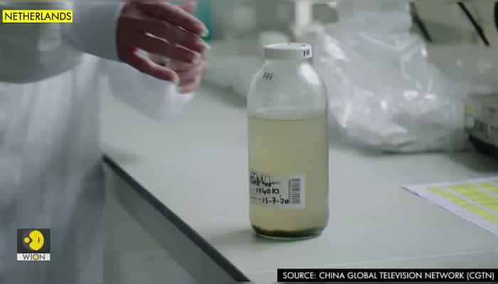 Netherlands uses sewage samples to better predict, analyze spread of COVID-19