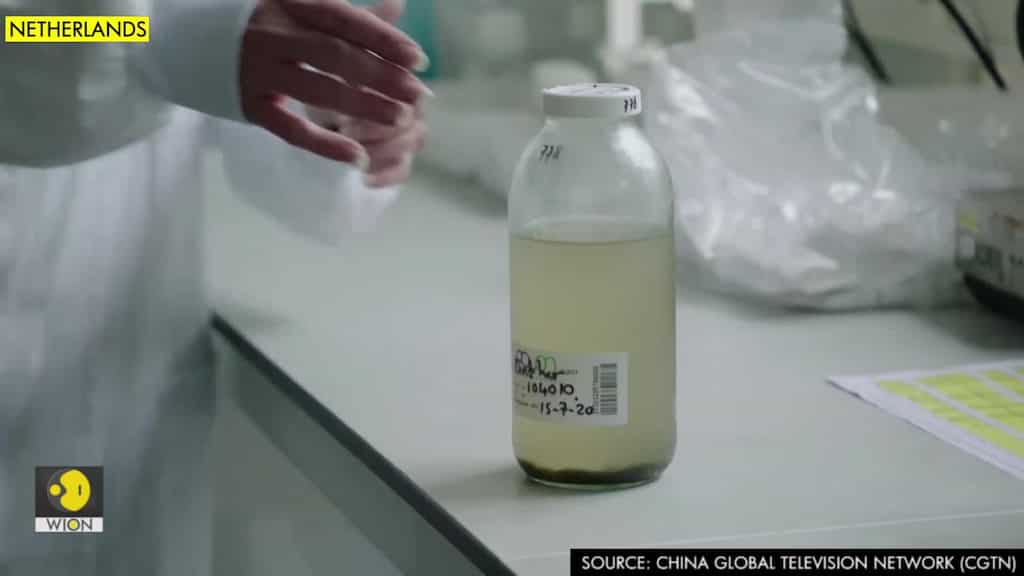 Netherlands uses sewage samples to better predict, analyze spread of COVID-19