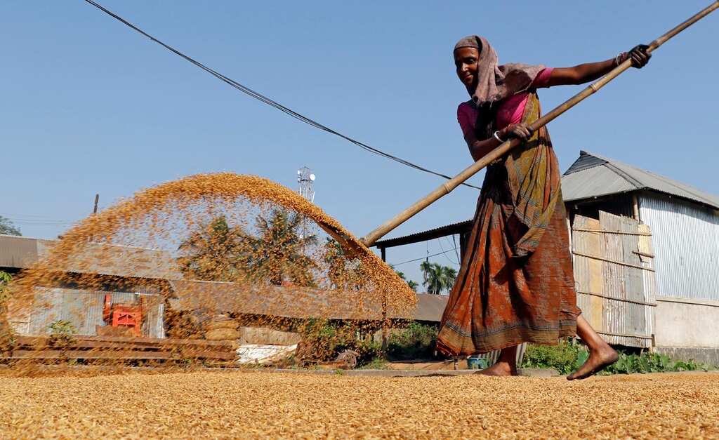 Economic impact of dietary changes in rural India