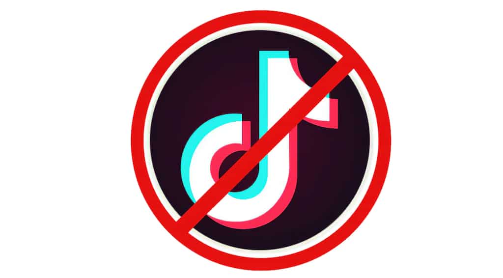 US Senate panel approves ban on using TikTok app on Govt devices