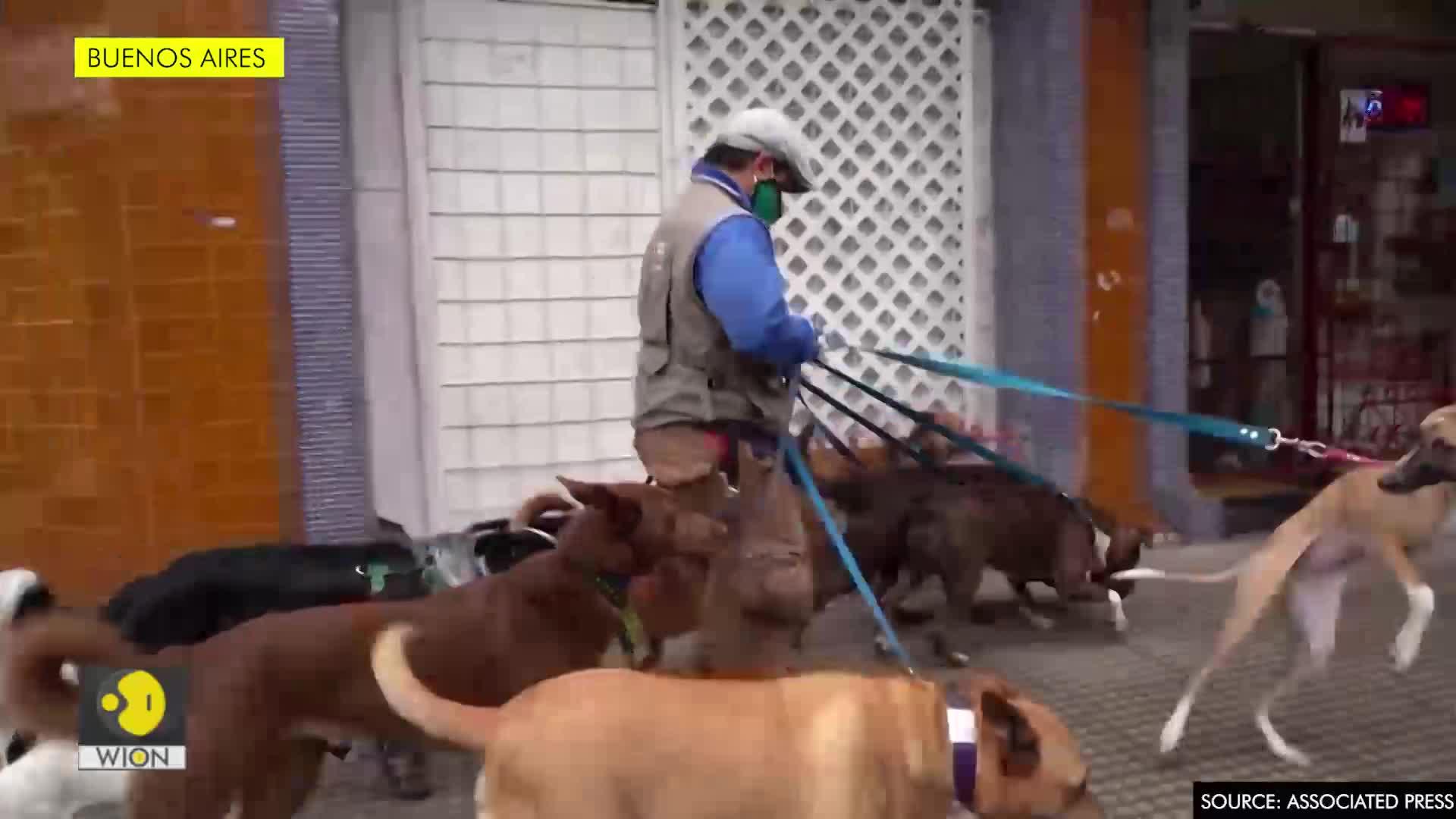 WionNews Video